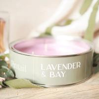 Pintail Candles Lavender & Bay Triple Wick Tin Candle Extra Image 3 Preview